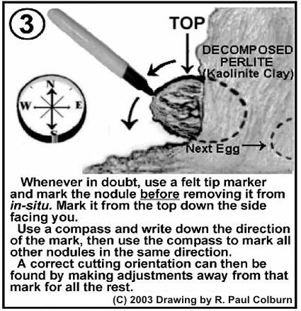 Mark specimens before removal from an unfamiliar deposit