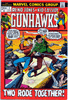 the Gunhawks