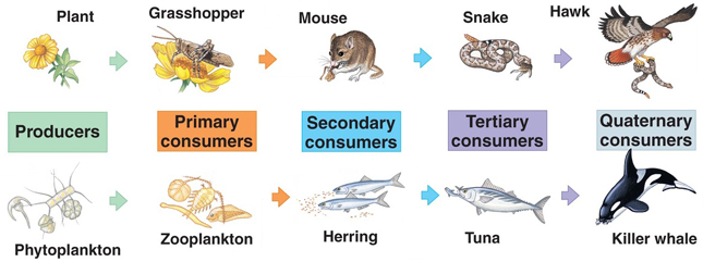 Biology - Unit Two: Ecology - Interactions and Relationships