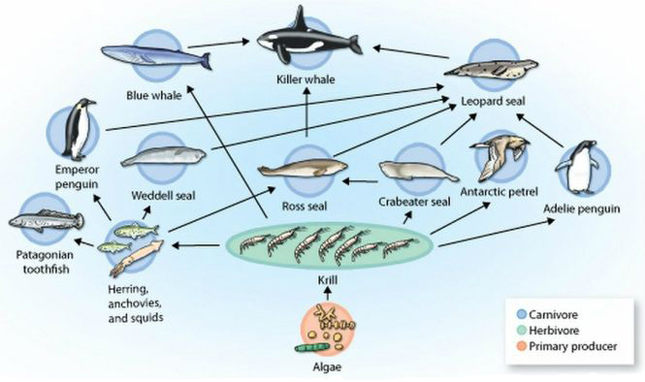 Biology - Unit Two: Ecology - Interactions and Relationships Biology - Unit Two: Ecology - Interactions and Relationships