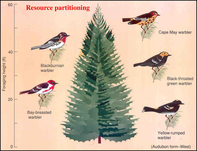 Resource Sharing