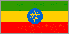 ethiopian flag (600) bytes
