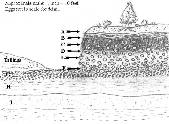 Diagram of Priday Blue Bed deposit