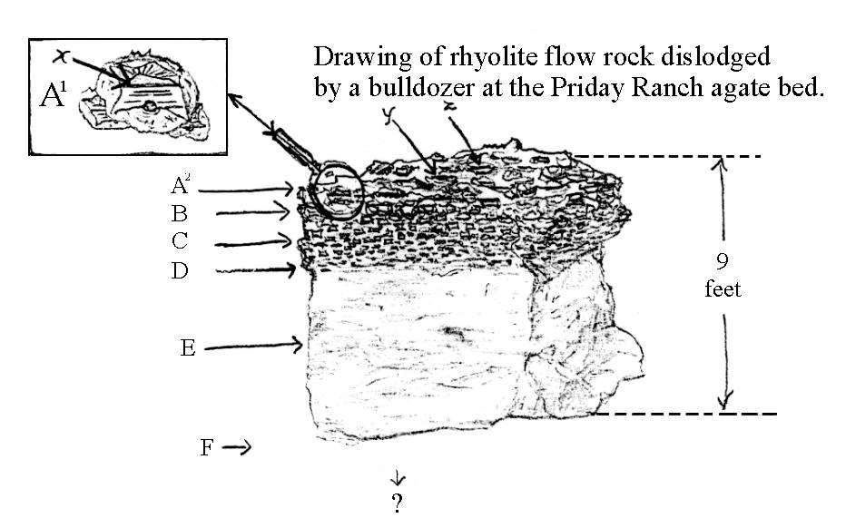 rhyolite flow-rock from Priday