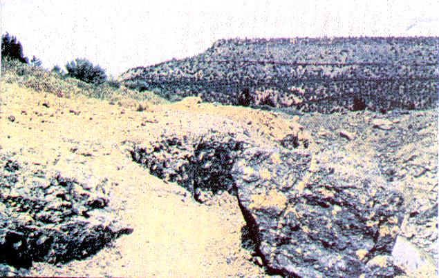 Photo of Priday, with Pony Butte