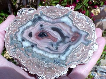 Baker Thunderegg, Deming, New Mexico