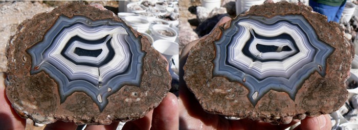 Baker egg with stunning agate colors and banding, Deming, New Mexico
