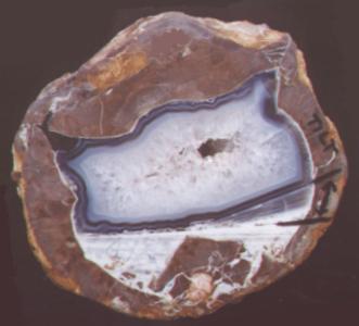Tilt agate thunderegg, Rockhound State Park, Deming, New Mexico