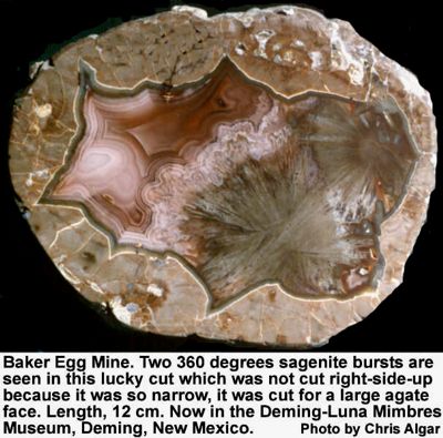 Sagenite in carnelian agate, Baker Egg Mine, Deming, New Mexico
