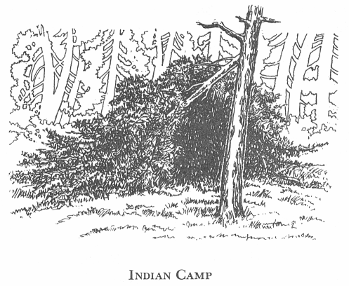 indian camp