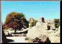 City of Rocks State Park, NM.