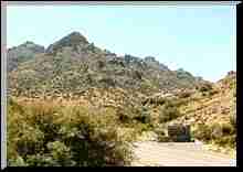 Rockhound State Park, NM.