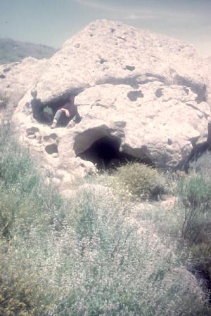 Top-Secret
                            Native-American Cult Bunker