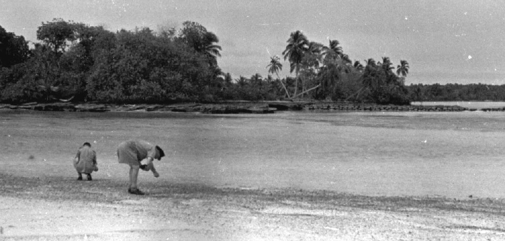 RAF Squaddies doing what everyone on Diego
                    Garcia does -- beachcombing!