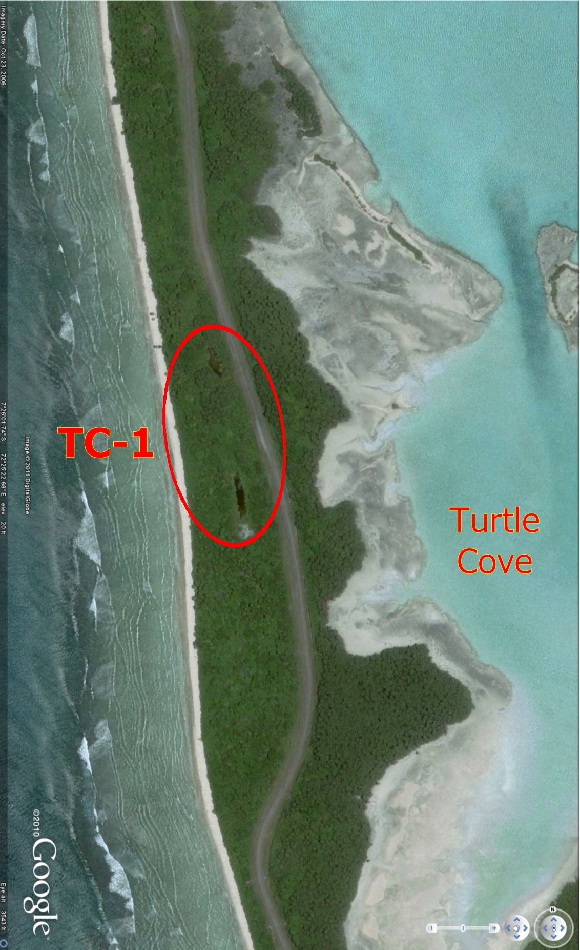 Freshwater ponds near Turtle
            Cove on Diego Garcia Atoll