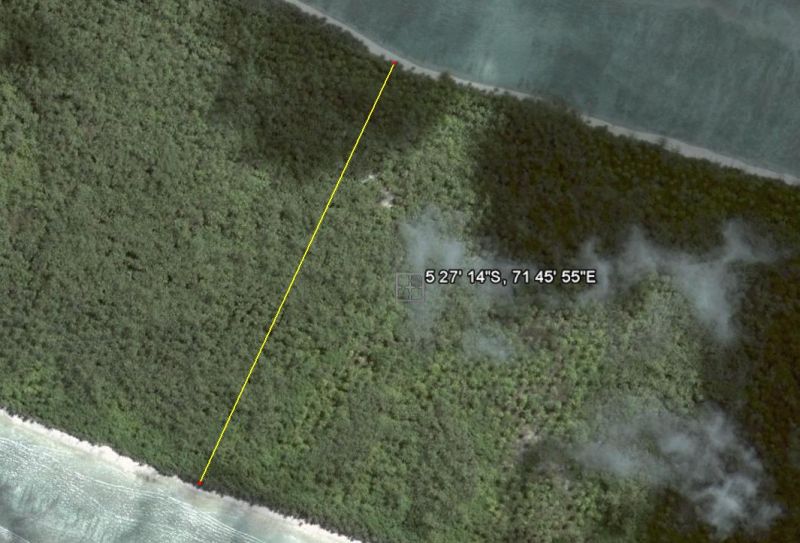 Coconut
                        Plantation, Ile du Coin, Peros Banhos Atoll,
                        Chagos Protected Area