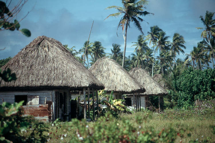 Plantation Workers
                    Huts
