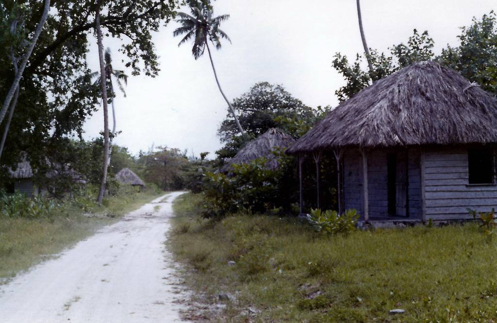  - LarryDuranPlantationHuts1