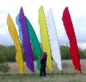 2007.04.20_DSCN2453.JPG (18476 bytes)