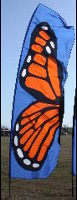 monarch single 8342.JPG (6650 bytes)