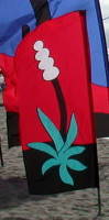 yucca_4326.JPG (4826 bytes)