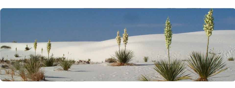 White Sands National Monument