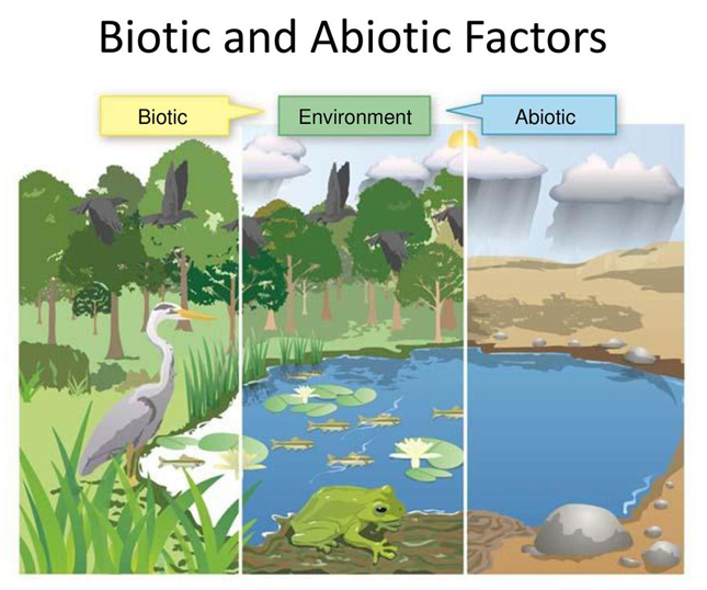 Biology Unit Two Ecology Interactions And Relationships