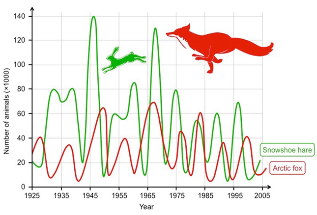 Predator-Prey Relationships