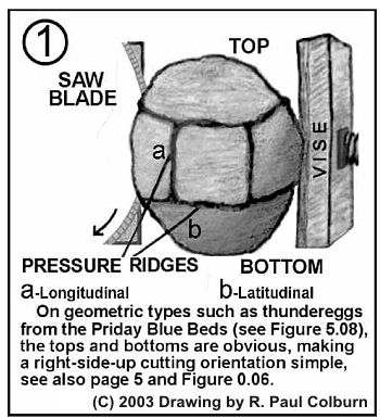 Cutting orientation for eggs with geometric pressure ridges