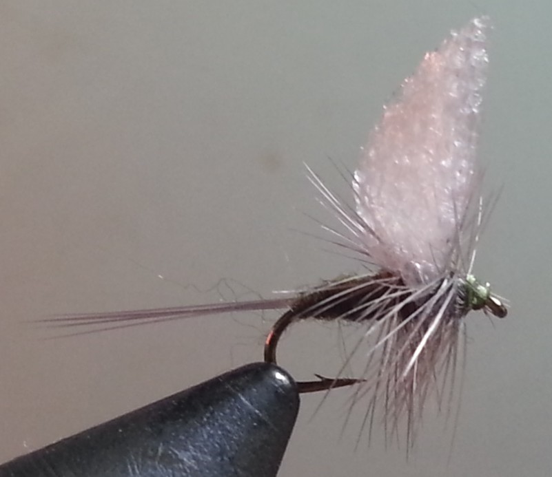 Foam Wing Dry Fly BWO .jpg (79036 bytes)